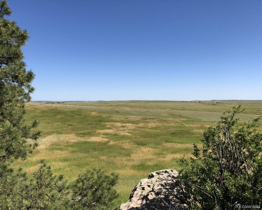 3 County Road 94 Elbert, CO 80106 - Photo 12 of 15