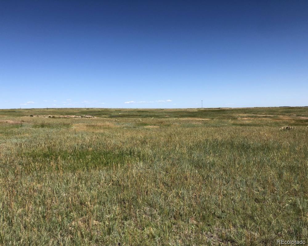 3 County Road 94 Elbert, CO 80106 - Photo 14 of 15