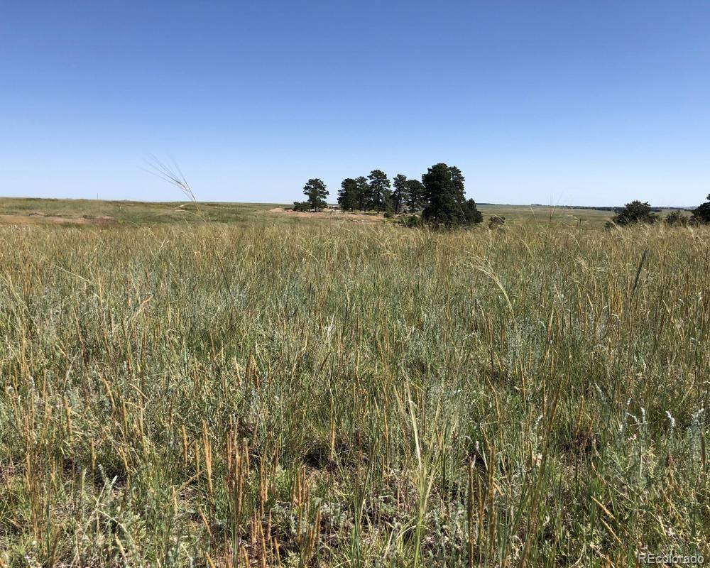 3 County Road 94 Elbert, CO 80106 - Photo 15 of 15