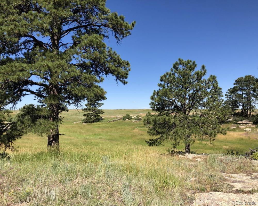 3 County Road 94 Elbert, CO 80106 - Photo 3 of 15