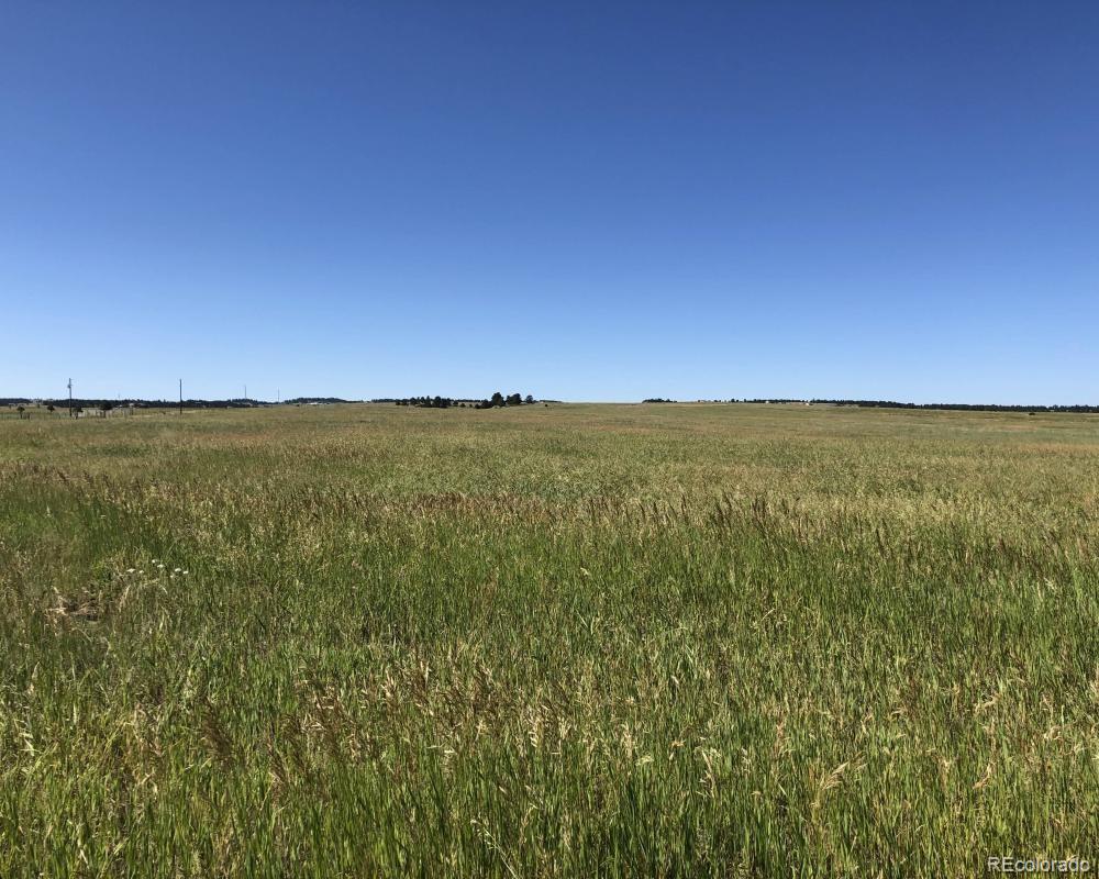 3 County Road 94 Elbert, CO 80106 - Photo 4 of 15