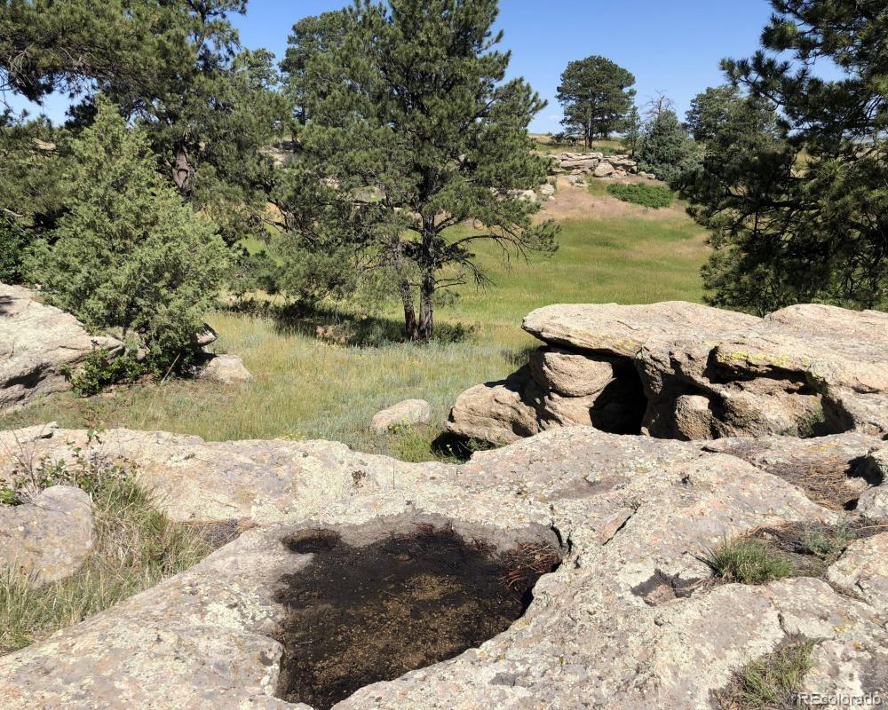 3 County Road 94 Elbert, CO 80106 - Photo 6 of 15