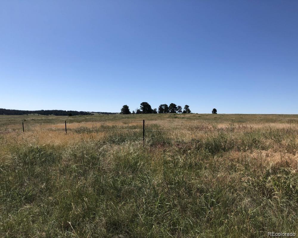 3 County Road 94 Elbert, CO 80106 - Photo 7 of 15