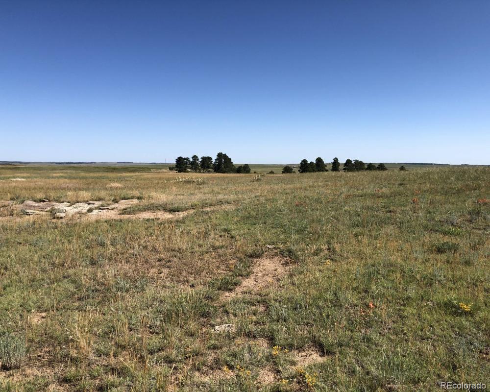 3 County Road 94 Elbert, CO 80106 - Photo 8 of 15