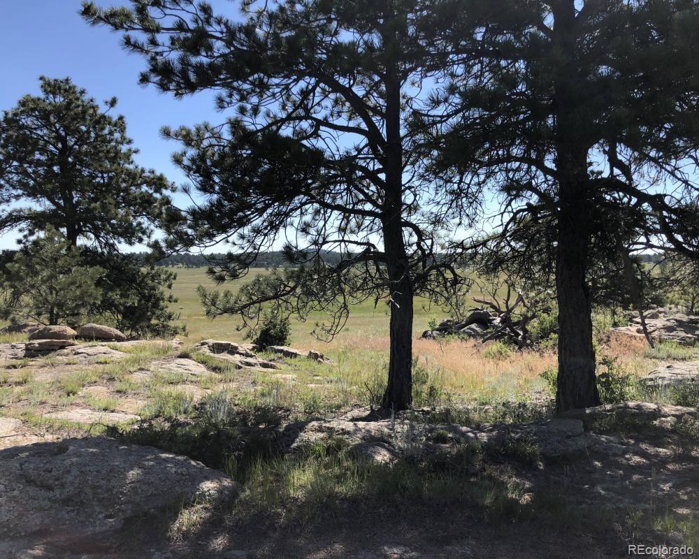 3 County Road 94 Elbert, CO 80106 - Photo 9 of 15