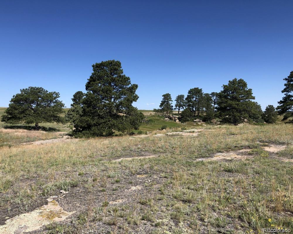 3 County Road 94 Elbert, CO 80106 - Photo 10 of 15