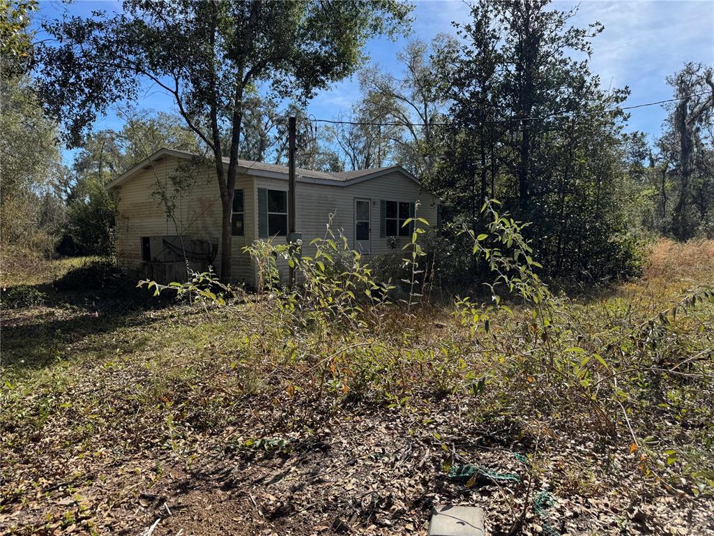 a view of house with trees in back