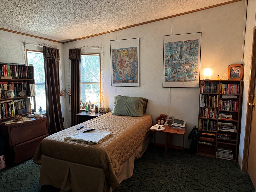 6704 Ike Smith Road Plant City, FL 33565 - Photo 13 of 26 a bedroom with a bed furniture and a window