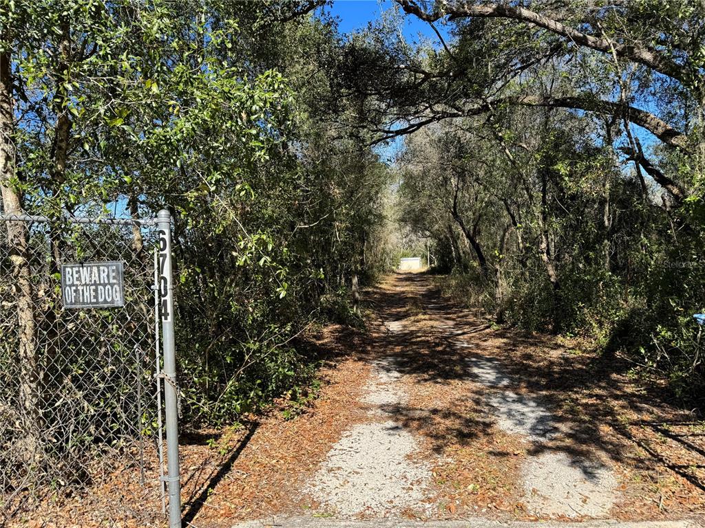 6704 Ike Smith Road Plant City, FL 33565 - Photo 14 of 26 a view of a outdoor space