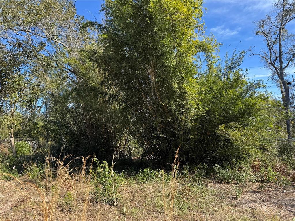 6704 Ike Smith Road Plant City, FL 33565 - Photo 19 of 26 a view of outdoor space and a yard
