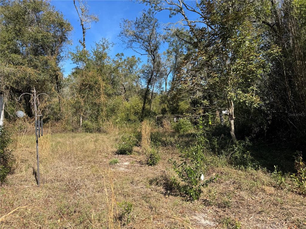 6704 Ike Smith Road Plant City, FL 33565 - Photo 20 of 26 a view of a yard with trees