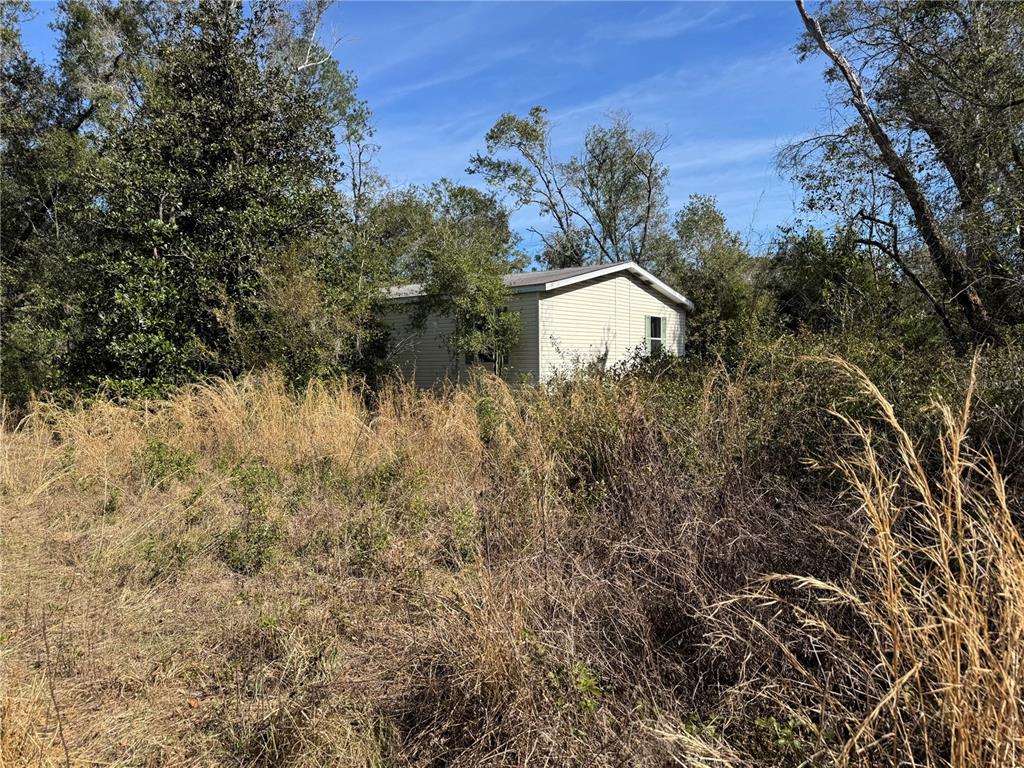 6704 Ike Smith Road Plant City, FL 33565 - Photo 25 of 26 a view of a house with a yard