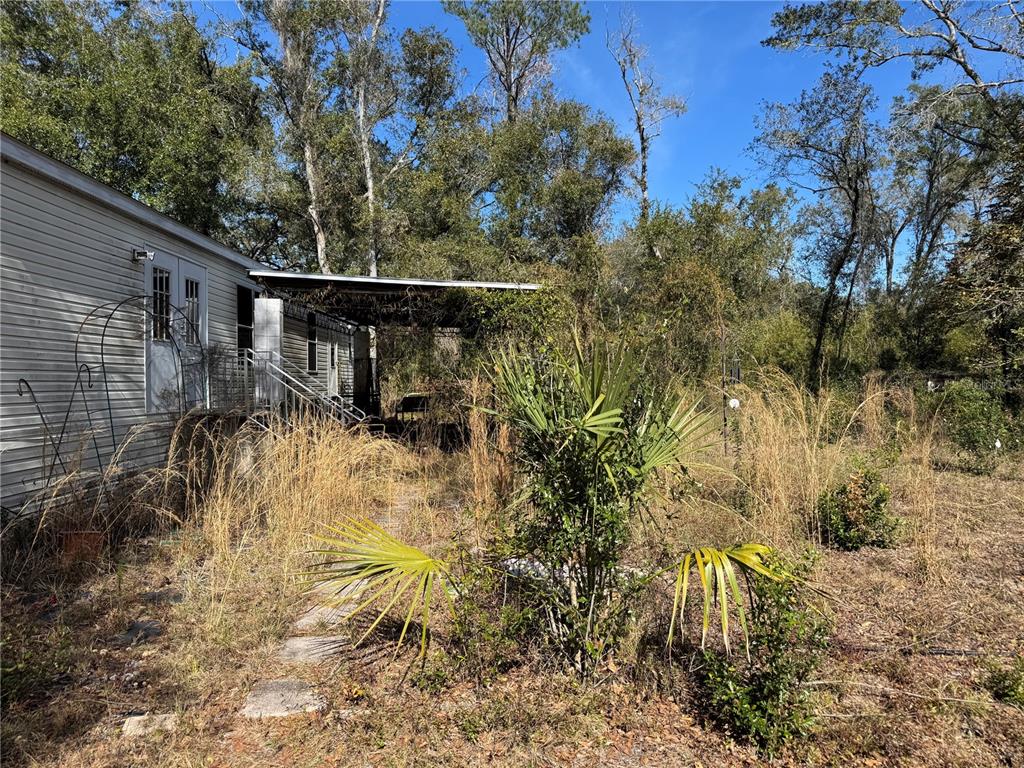6704 Ike Smith Road Plant City, FL 33565 - Photo 3 of 26 a view of outdoor space and garden