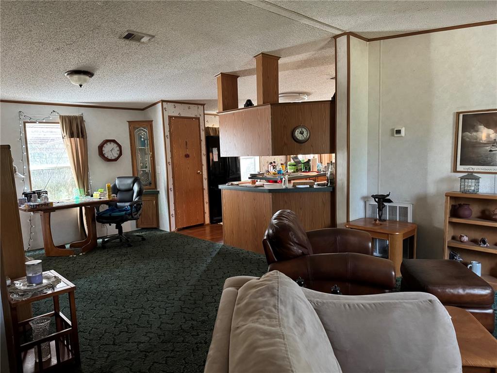 6704 Ike Smith Road Plant City, FL 33565 - Photo 5 of 26 a living room with furniture and a flat screen tv