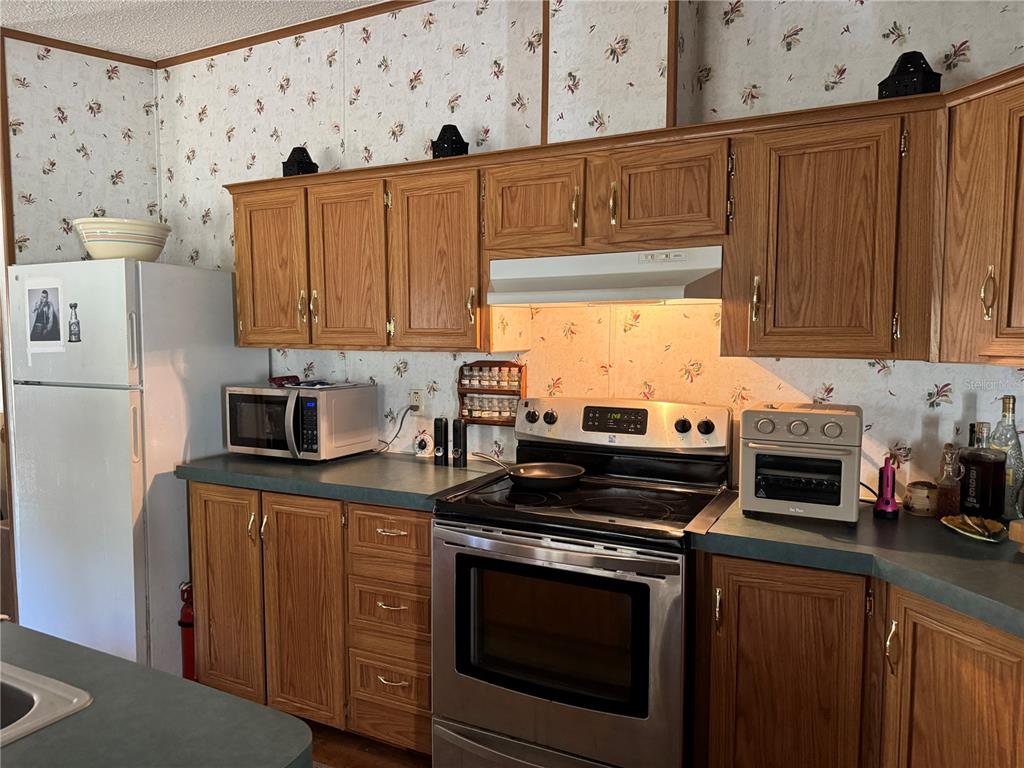 6704 Ike Smith Road Plant City, FL 33565 - Photo 8 of 26 a kitchen with stainless steel appliances a stove a microwave a sink and cabinets