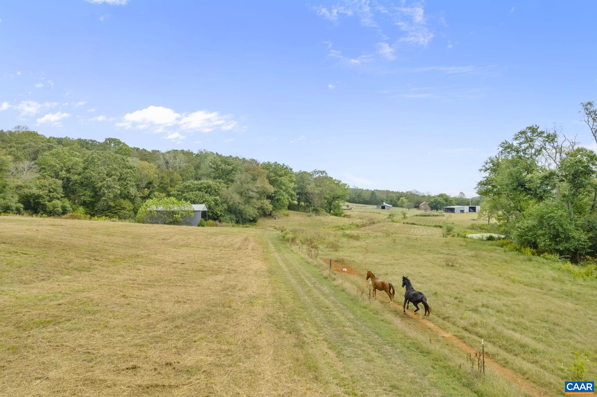 12189 Norwood Road Wingina, VA 24599 - Photo 49 of 75