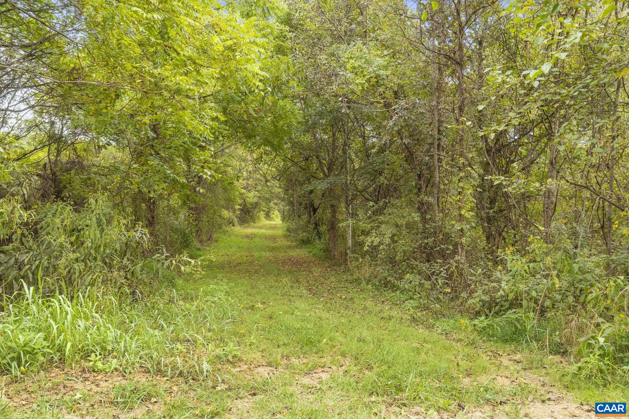 12189 Norwood Road Wingina, VA 24599 - Photo 72 of 75