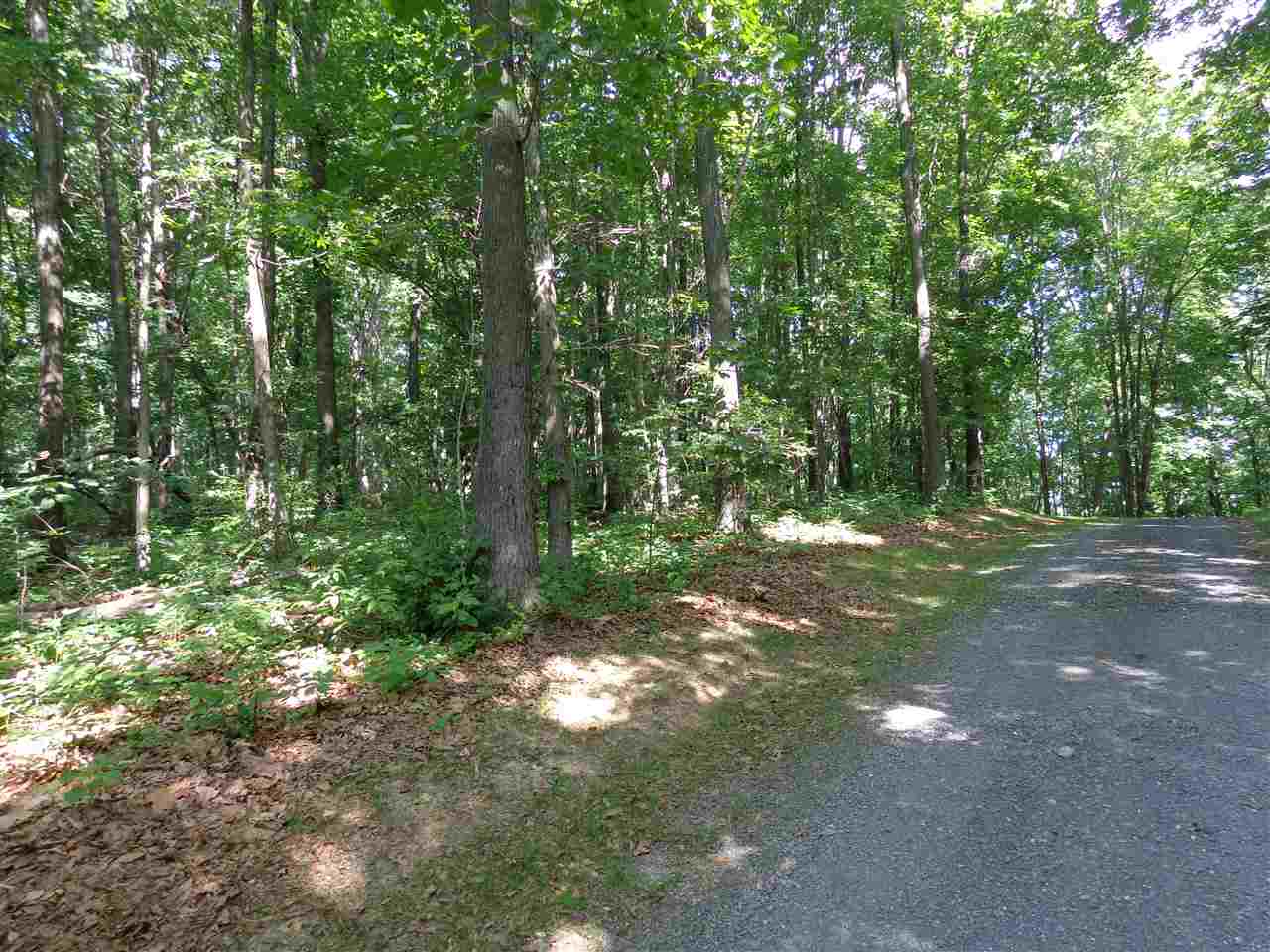 97-acres Curry Road Churchville, VA 24421 - Photo 11 of 11 a view of outdoor space with green space