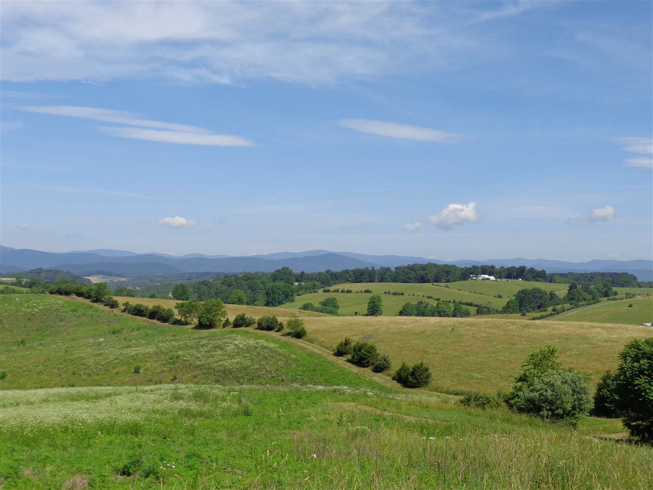 97-acres Curry Road Churchville, VA 24421 - Photo 4 of 11 a view of a green field with houses in the background