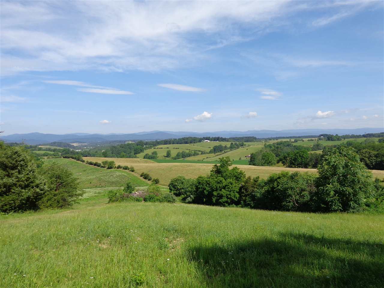 97-acres Curry Road Churchville, VA 24421 - Photo 5 of 11 a view of a green field with lots of green space