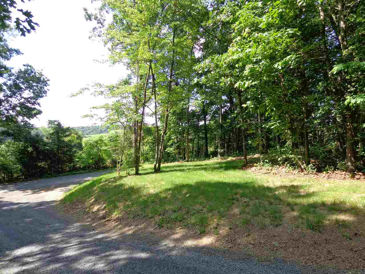 97-acres Curry Road Churchville, VA 24421 - Photo 10 of 11 a view of a big yard with trees