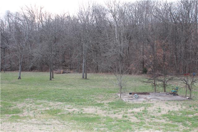 1126 Southport Road Mount Pleasant, TN 38474 - Photo 2 of 5 Gallery Image 2