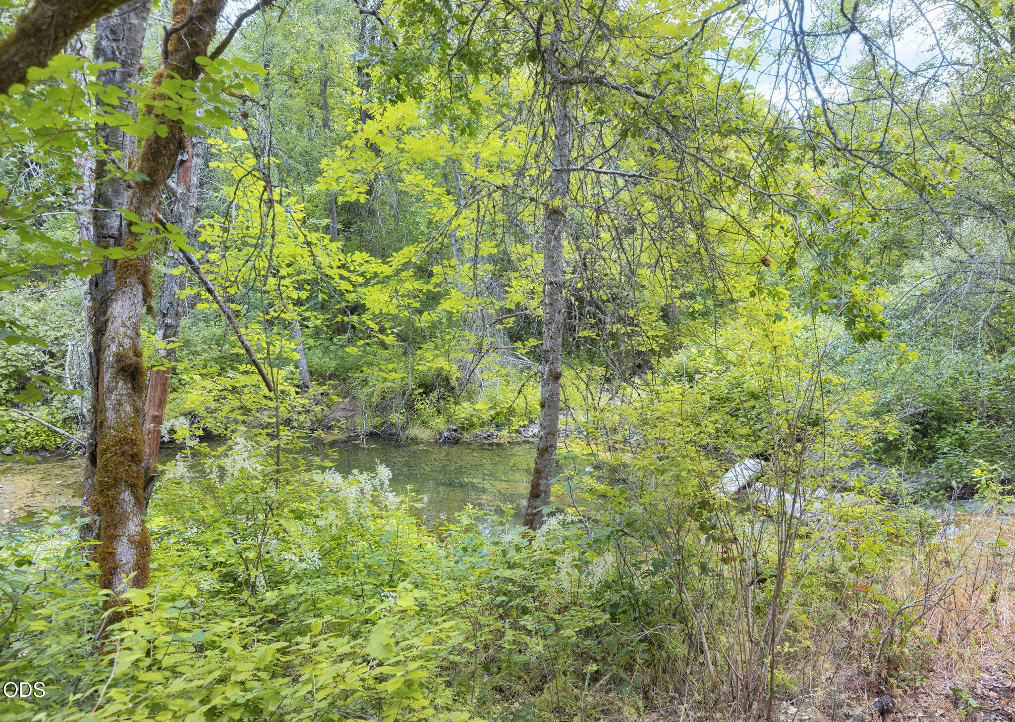 161 Soldier Creek Road Grants Pass, OR 97526 - Photo 66 of 68