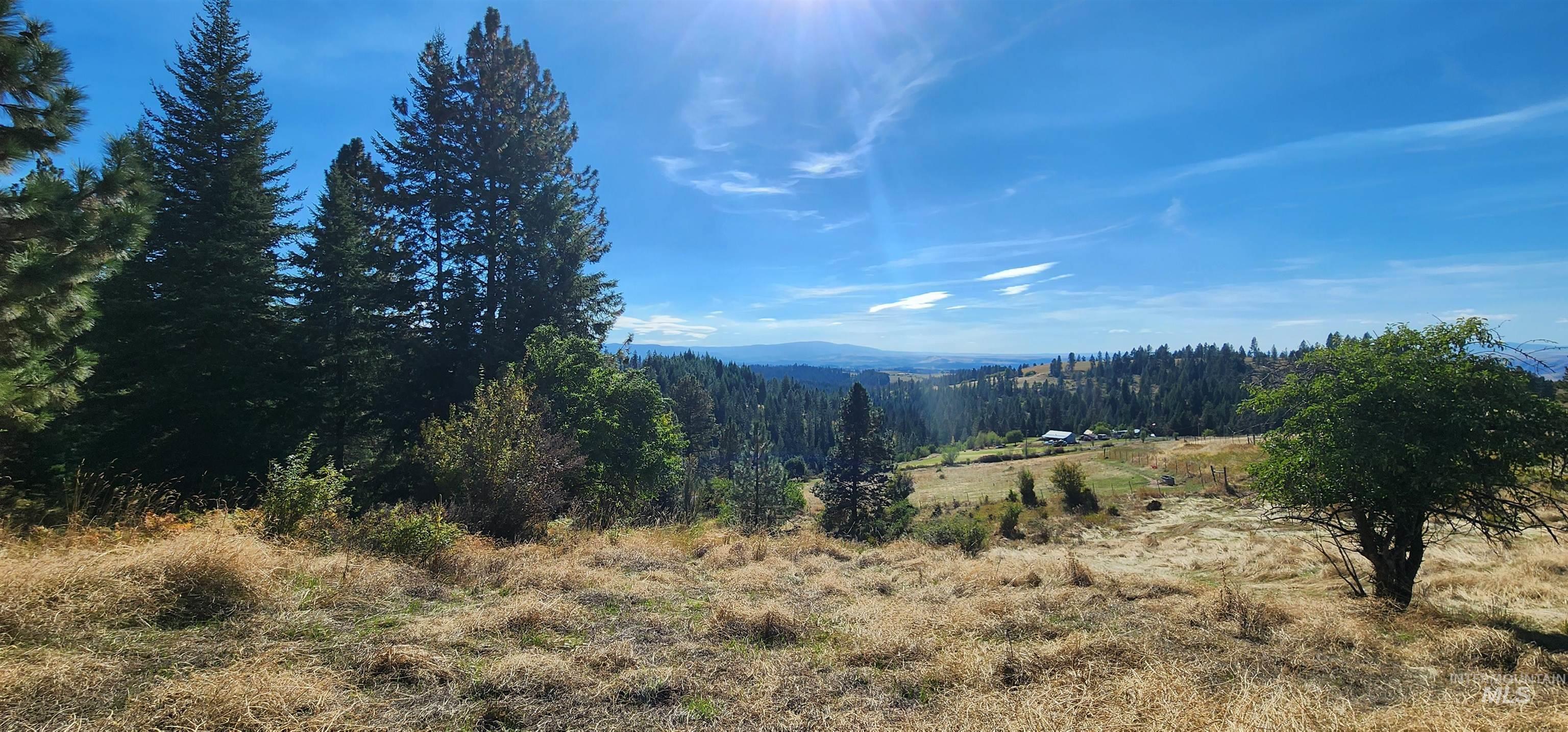 Tbd Red Fir Road Kooskia, ID 83539 - Photo 11 of 34