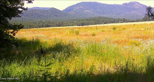 $325,000 | 340 Bayview Road, Athol, ID 83801