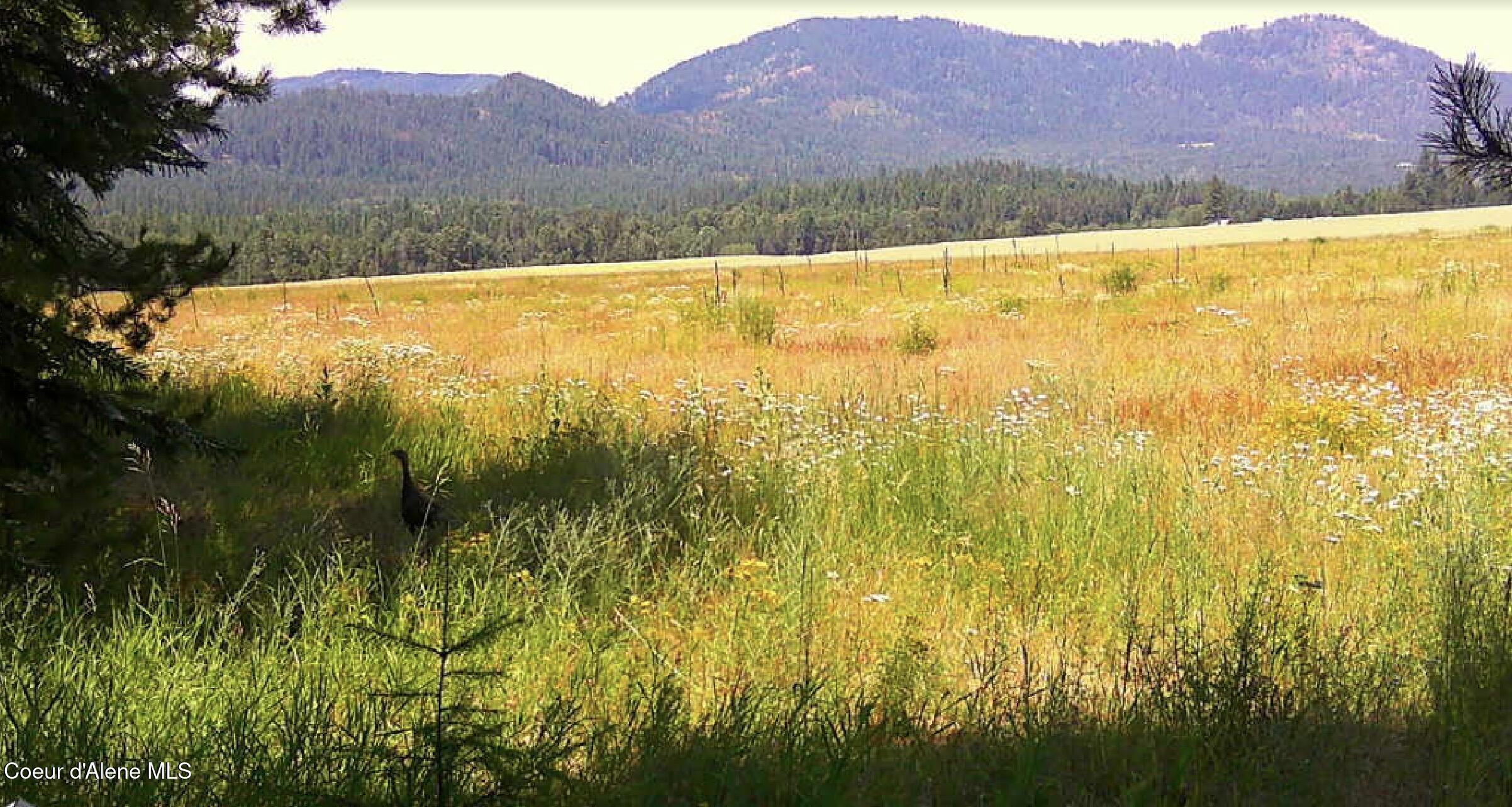 340 Bayview Road Athol, ID 83801 - Photo 19 of 24 IMG_0201