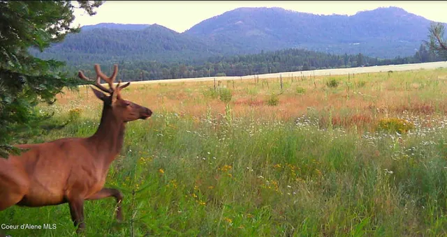 $325,000 | 340 Bayview Road, Athol, ID 83801