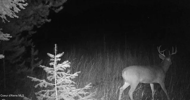 $325,000 | 340 Bayview Road, Athol, ID 83801