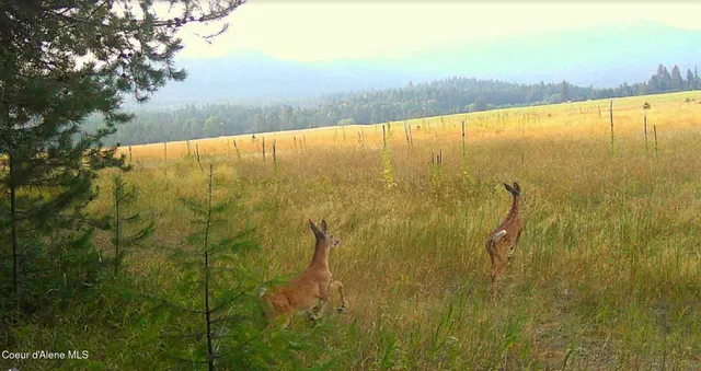 $325,000 | 340 Bayview Road, Athol, ID 83801