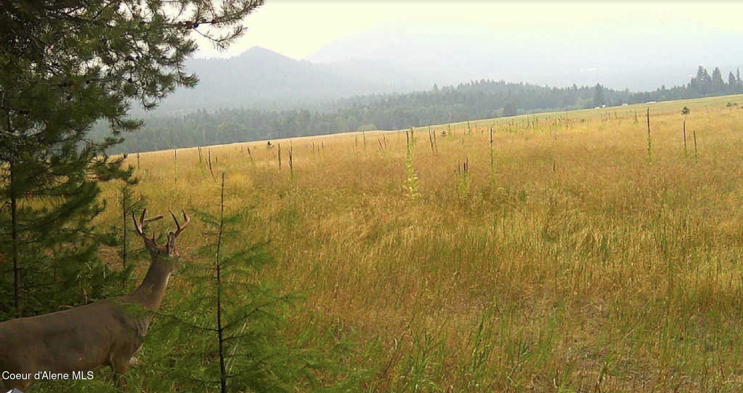 340 Bayview Road Athol, ID 83801 - Photo 23 of 24 IMG_0195