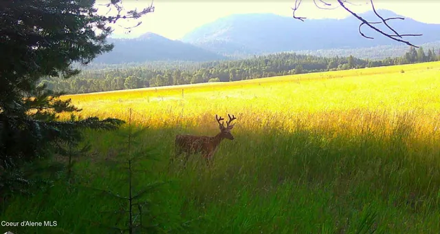 $325,000 | 340 Bayview Road, Athol, ID 83801