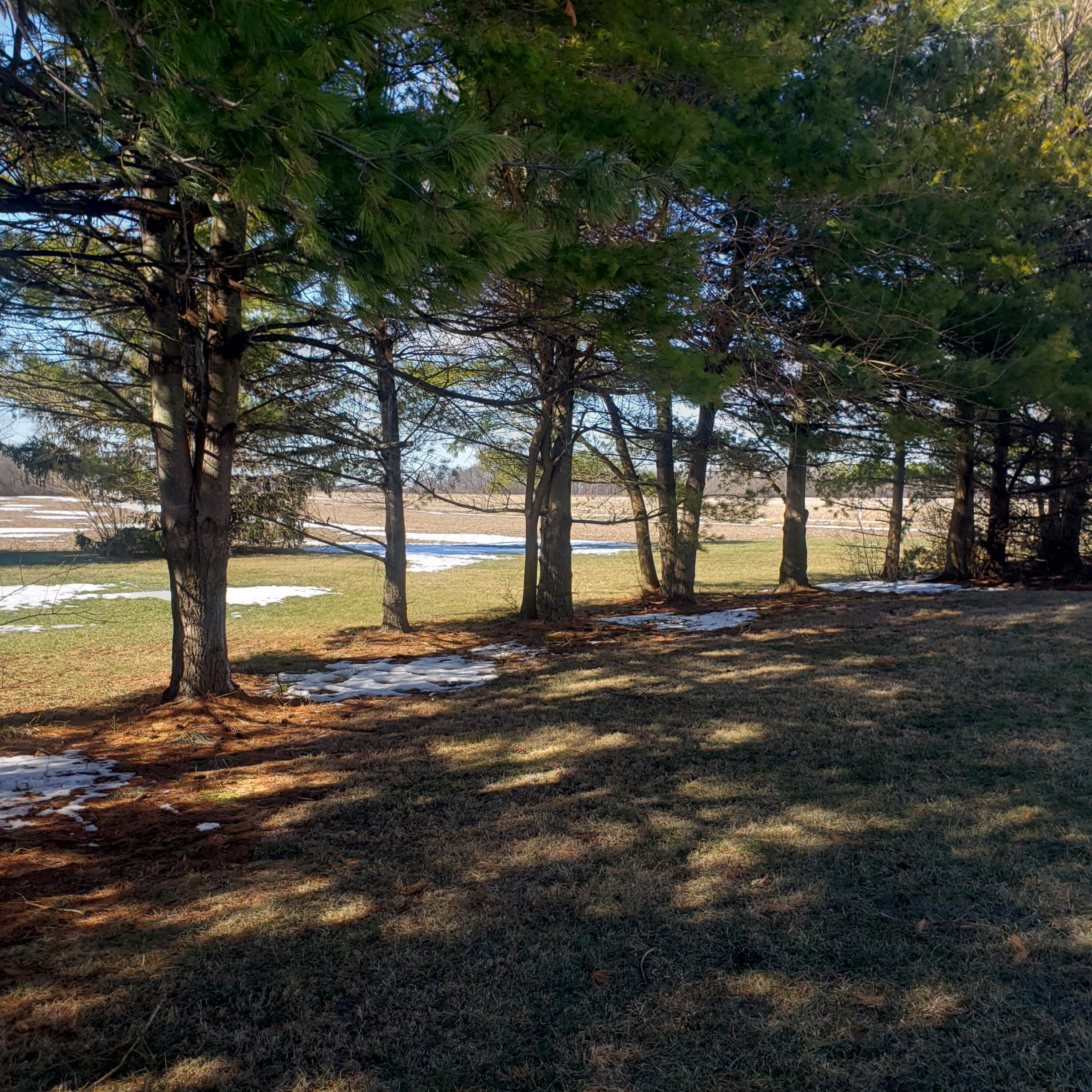 17038 Lockbourne Eastern Road Ashville, OH 43103 - Photo 35 of 70 20250129_130254