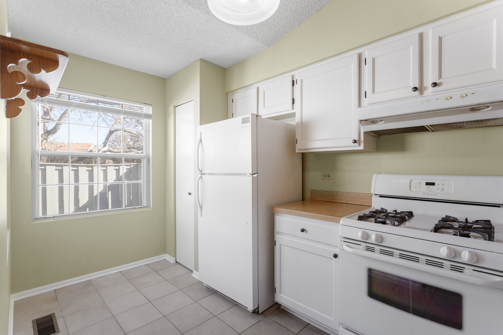 217 Juniper Circle Streamwood, IL 60107 - Photo 10 of 20