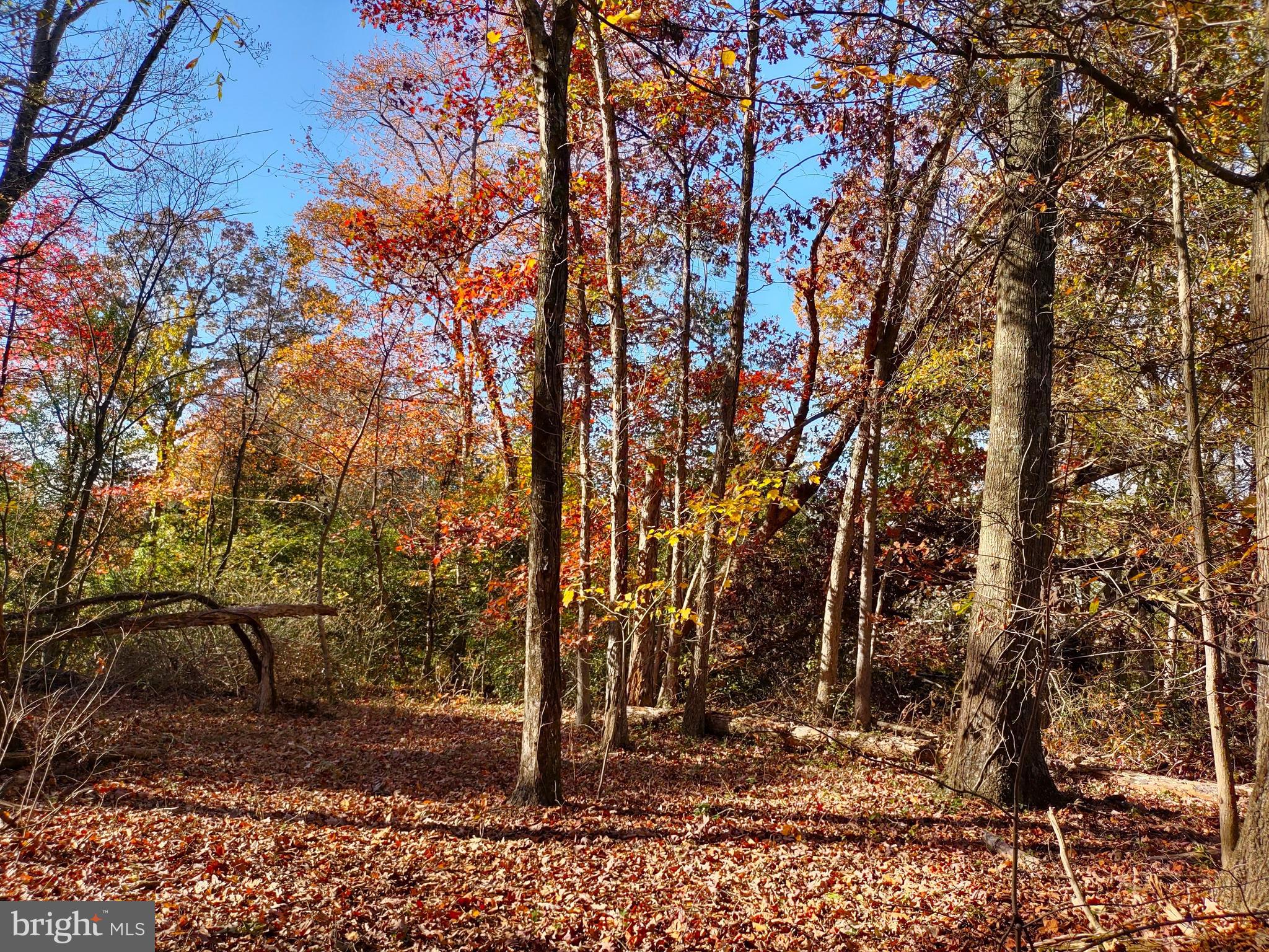 28723 Three Notch Road Mechanicsville, MD 20659 - Photo 6 of 11