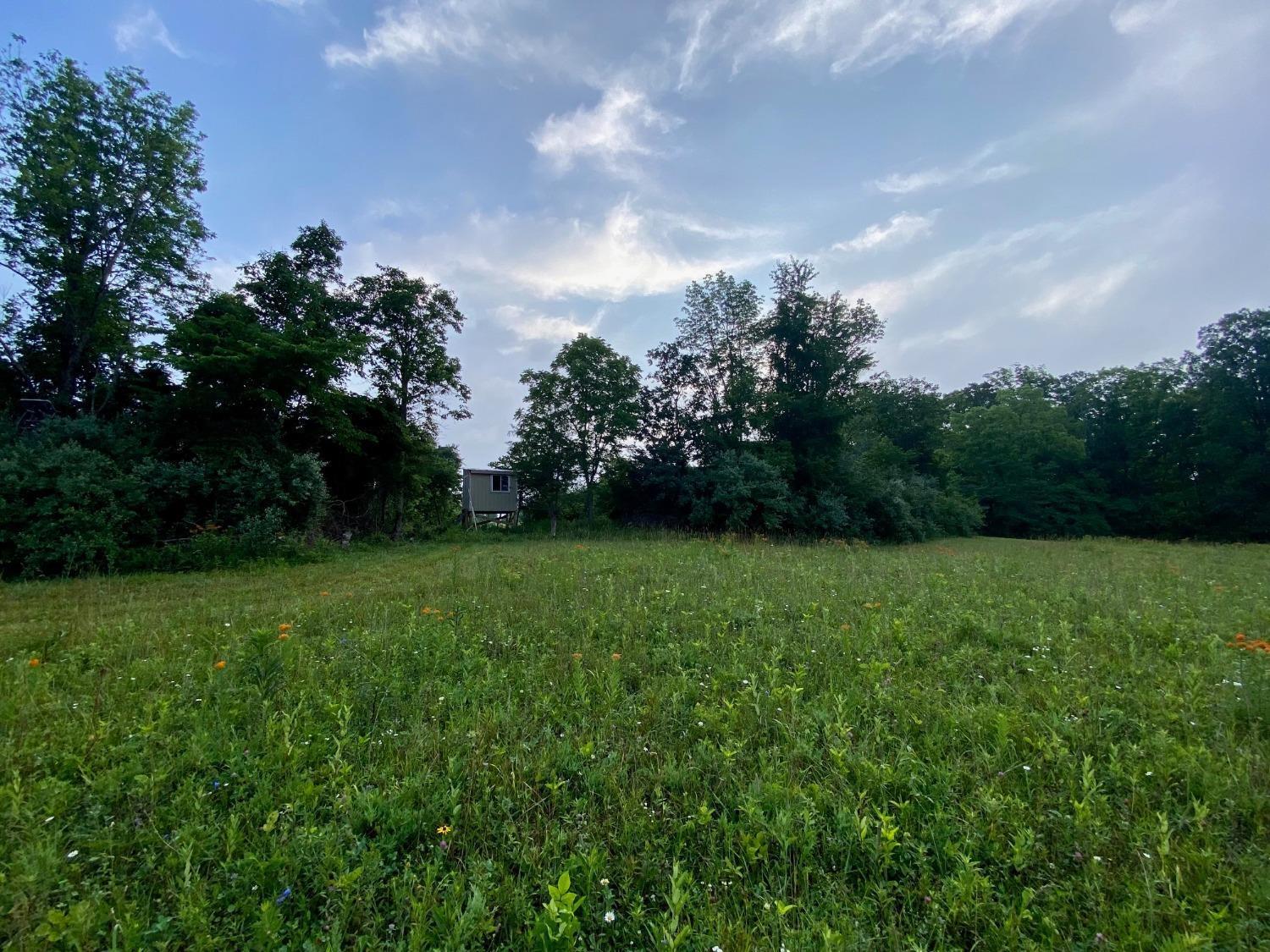Acre Brier Ridge Road West Union, OH 45693 - Photo 20 of 27