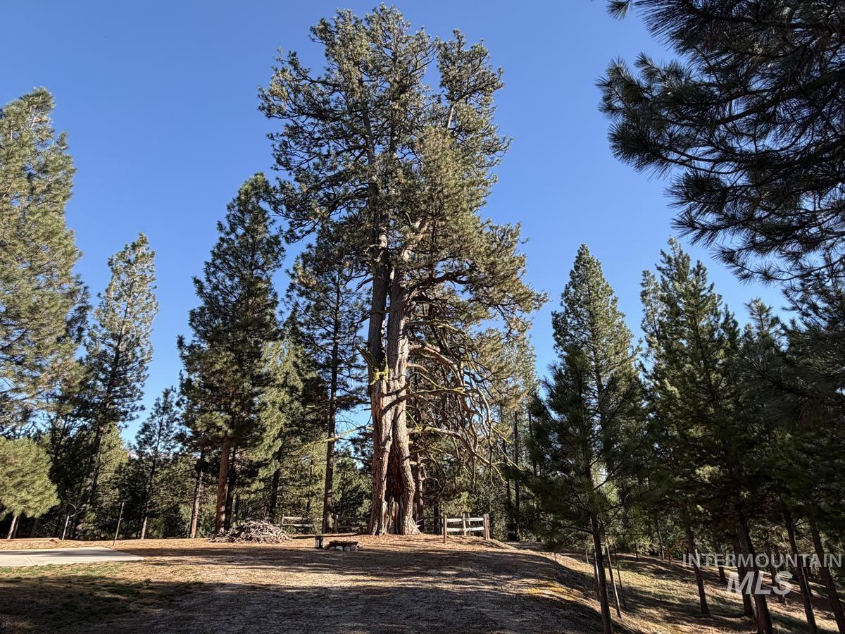 7 Carey Way Cascade, ID 83611 - Photo 4 of 33