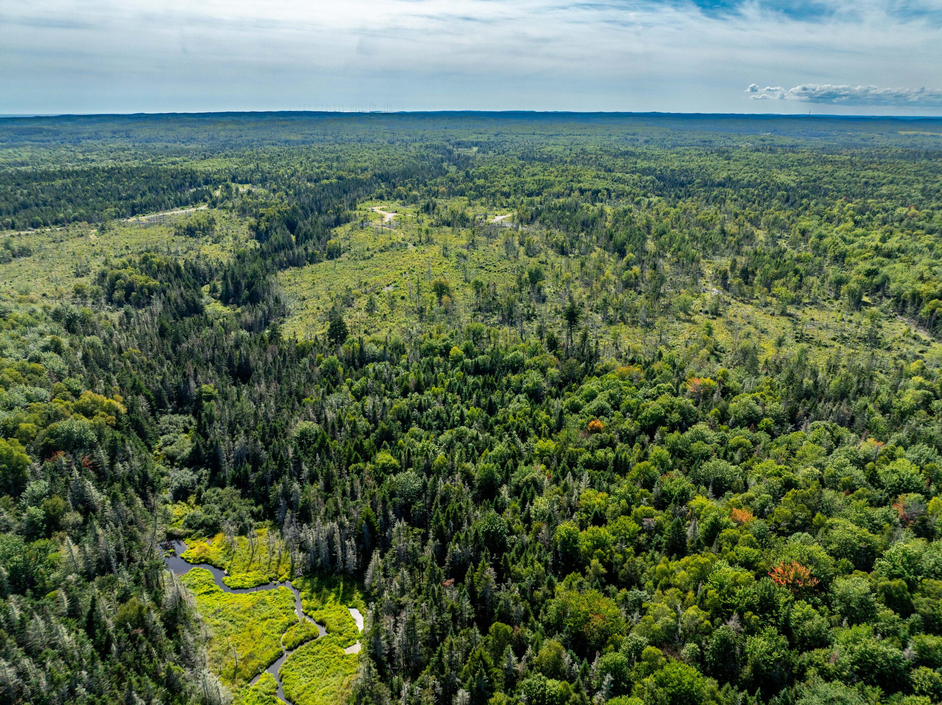 2 Map Lubec, ME 04652 - Photo 50 of 79 530+- acres Trescott Twp Maine (51 of 80