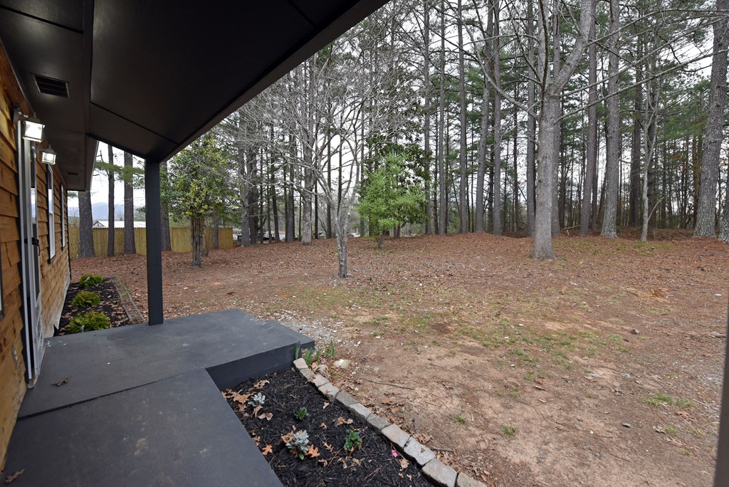 21 River Rd Drive Blairsville, GA 30512 - Photo 30 of 39 a view of a backyard with large trees