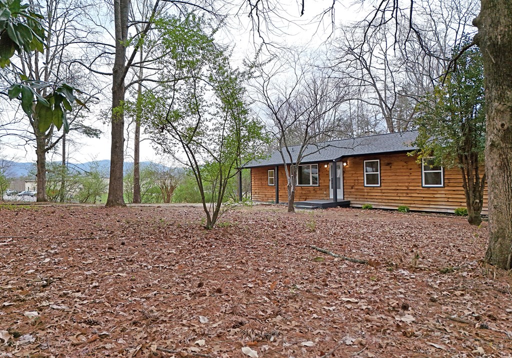 21 River Rd Drive Blairsville, GA 30512 - Photo 32 of 39 a view of a house with a yard and tree