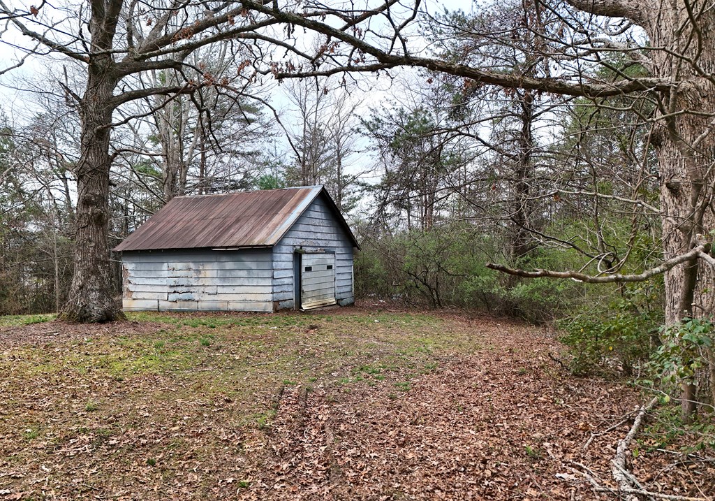 21 River Rd Drive Blairsville, GA 30512 - Photo 39 of 39 a view of a house with a large tree and a yard