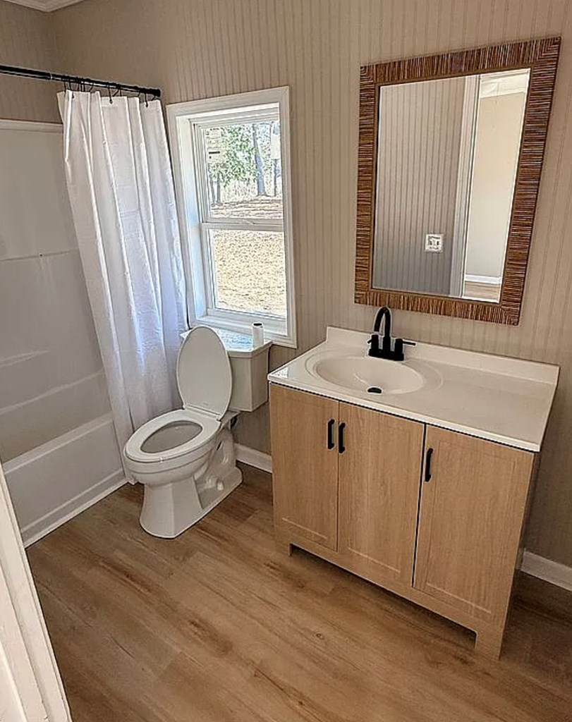 21 River Rd Drive Blairsville, GA 30512 - Photo 5 of 39 a bathroom with a sink toilet a mirror and vanity