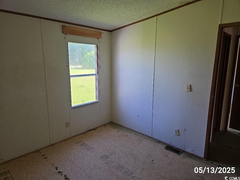 11 Lilac Lane Nesmith, SC 29580 - Photo 31 of 34 Empty room with plenty of natural light, ornamenta