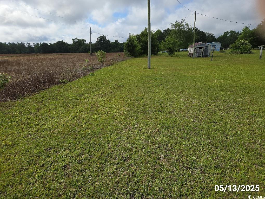 11 Lilac Lane Nesmith, SC 29580 - Photo 9 of 34 View of grassy yard