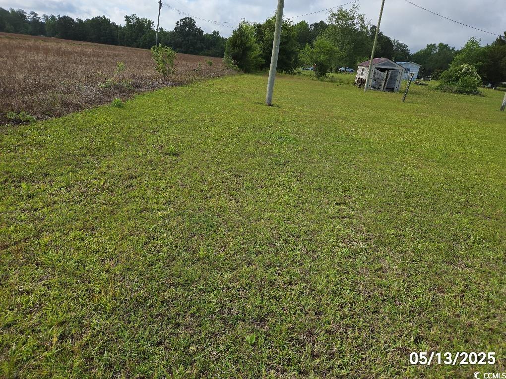 11 Lilac Lane Nesmith, SC 29580 - Photo 10 of 34 View of green lawn