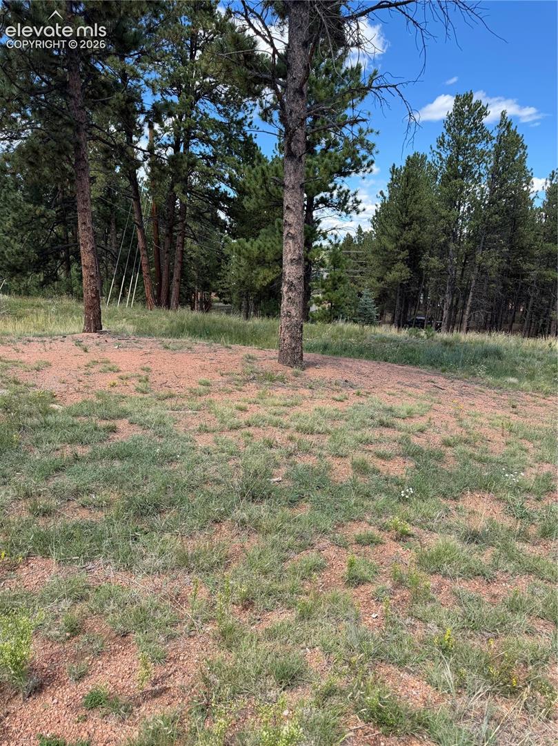 1396 Roberts Ranch Road Woodland Park, CO 80863 - Photo 2 of 6 Gallery Image 2