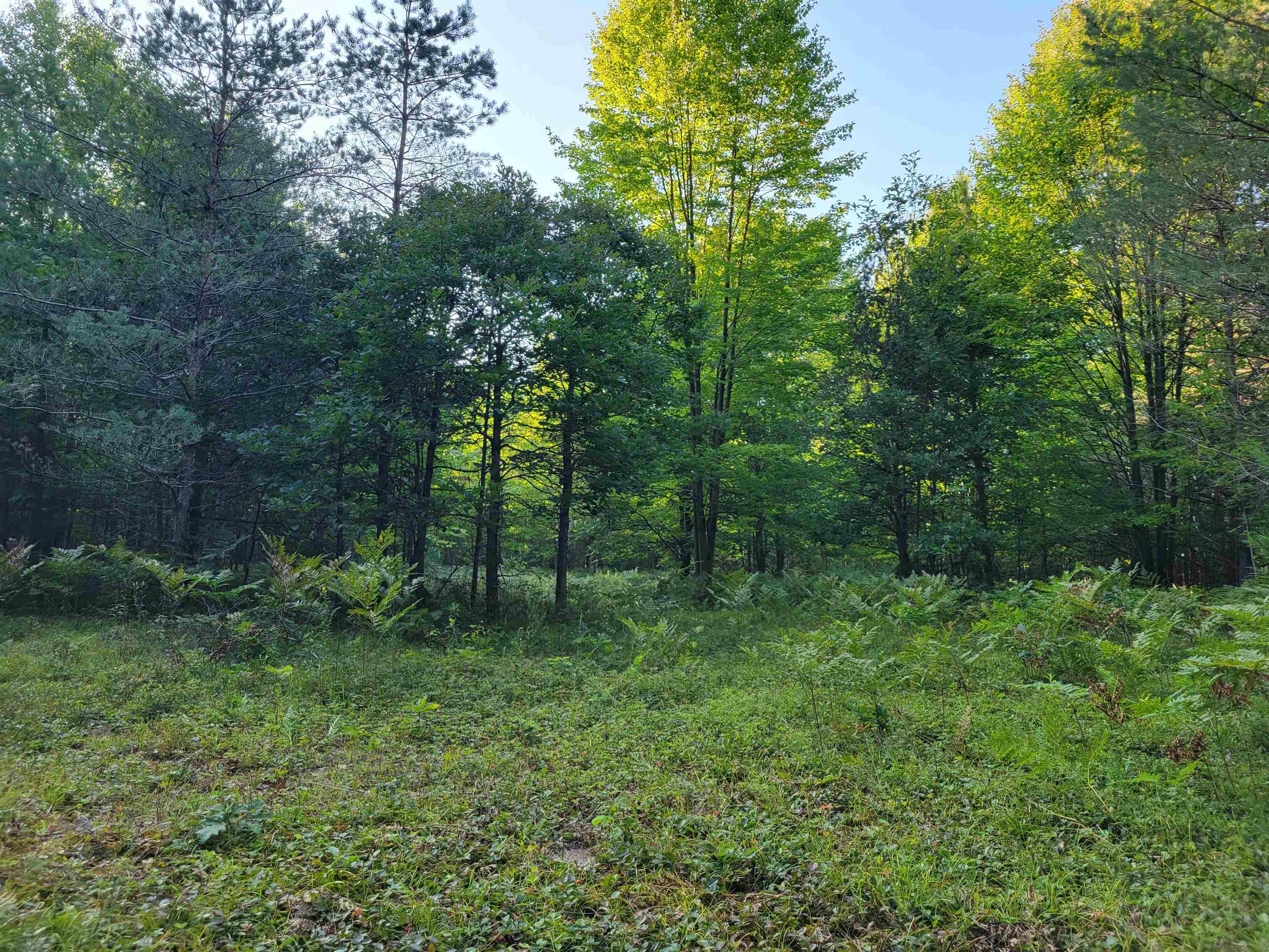 812 North Coleman Road Shepherd, MI 48883 - Photo 11 of 16